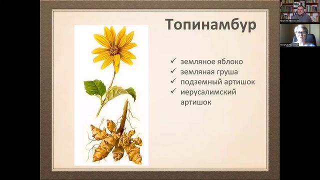 Болотовский огород Иванкевич Наталья и Афанасьев Георгий смотреть онлайн