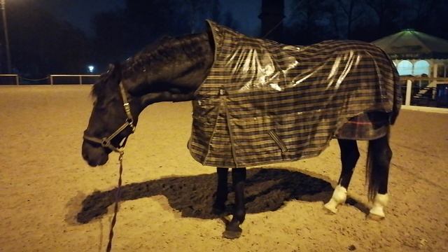 Вечер... дождь 2024.12.03_180320 смотреть онлайн