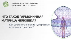 Что такое матрица человека? Что такое гармоничная матрица человека? ЦИОТ «Сфера»