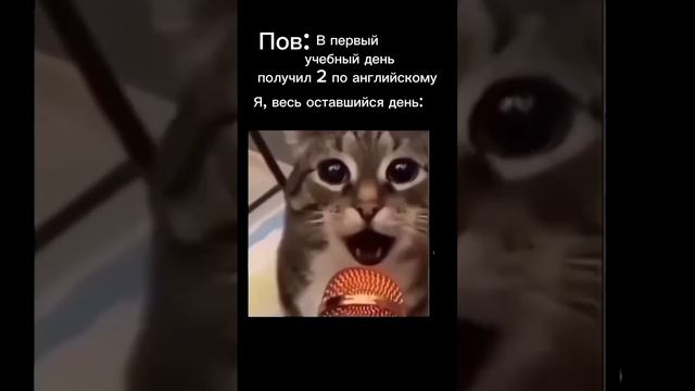 За каникулы забыл английский язык 🤗#рекомендации #хочуврек #meme #мем #кошак #школа #cat смотреть онлайн