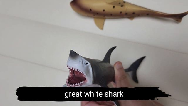 Play With Shark Toys : Sea Animals, White Shark, Whale Shark,  Zebra Shark, Tiger Shark,  Hammerhea