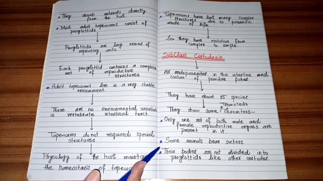 B.Sc,ADP,B.S Zoology B|Class Cestoidea: The Tapeworms & Sub-Classes by The Pool of Science смотреть онлайн