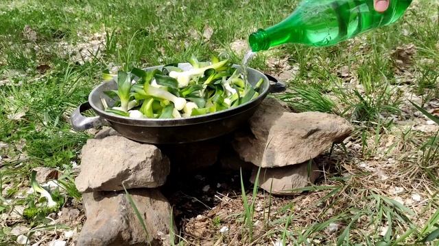 Խնջլուզ / Բանջար /  Зелень / Greens