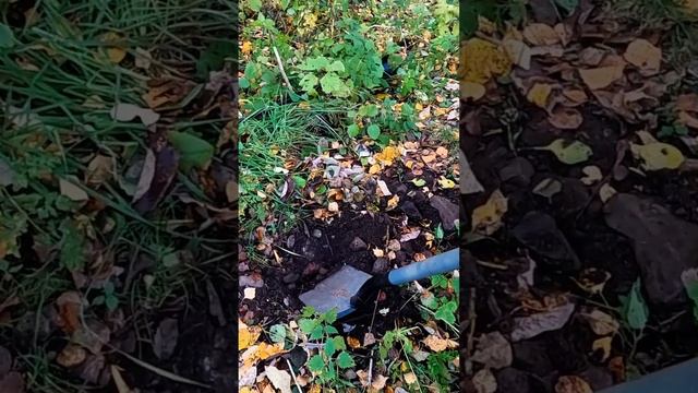 Сигнал металлоискателя порадовал смотреть онлайн