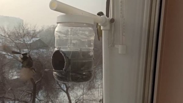 Кормушка для синиц.