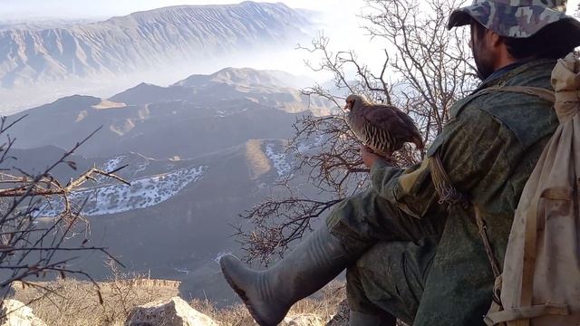 охота кеклики смотреть онлайн