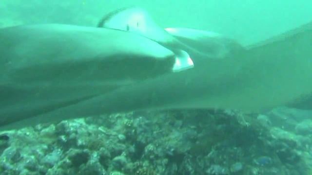 Advance смотреть онлайн