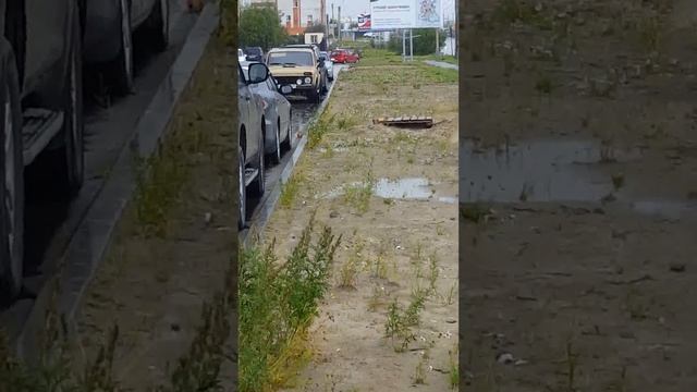 Белка посетила г. Новый Уренгой 19.08.2017 смотреть онлайн