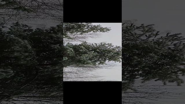 Зимний влог с дачи! Очень много снега! Фотографии получились класс!!