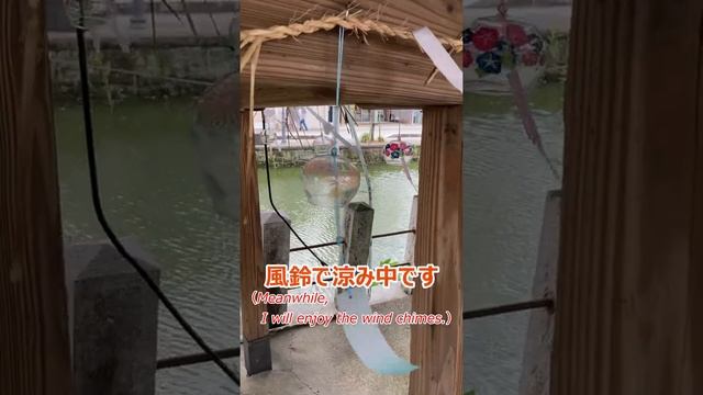 ［Japan］I had Fukuoka's local delicacy, "Unagi-no-Seiro-mushi (steamed eel)."（washoku） смотреть онлайн