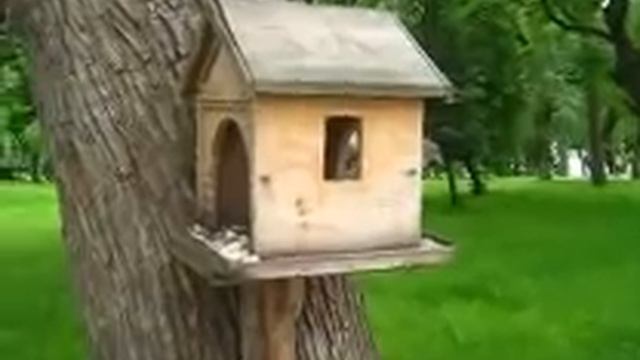 КВАРТИРУ GRANDENIKO ОПЛАТИТ САМВЕЛ. САМВЕЛ АДАМЯН ПРОГОВОРИЛСЯ