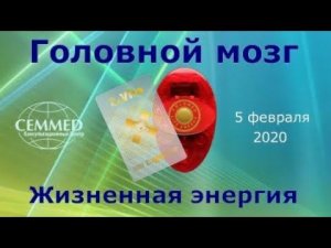 Головной мозг и жизненная энергия. Триомед ЭНЕРГИЯ ЖИЗНИ (LIFE ENERGY). ЭННИ РаВита (RaVita)
