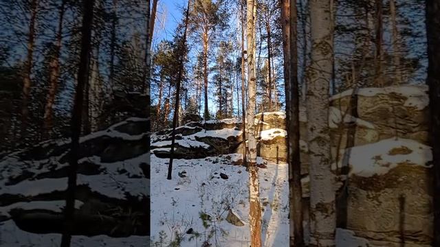 1000062082.mp4 смотреть онлайн