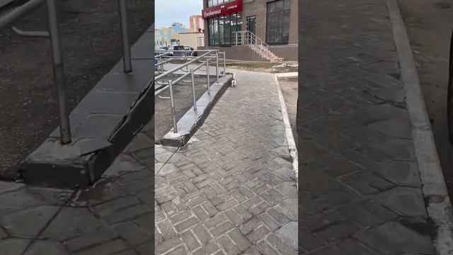 Всё своё несу домой 😁 смотреть онлайн