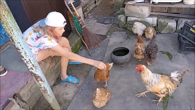 Птичий двор проголодался! смотреть онлайн
