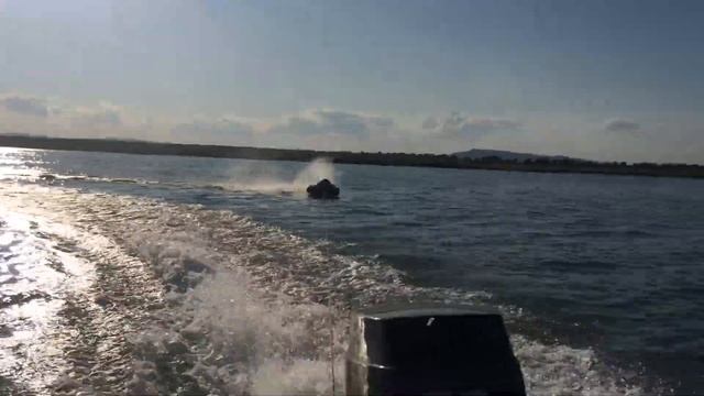 Плюшка за водометом смотреть онлайн