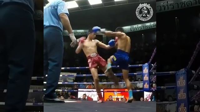muay thai training(1) смотреть онлайн