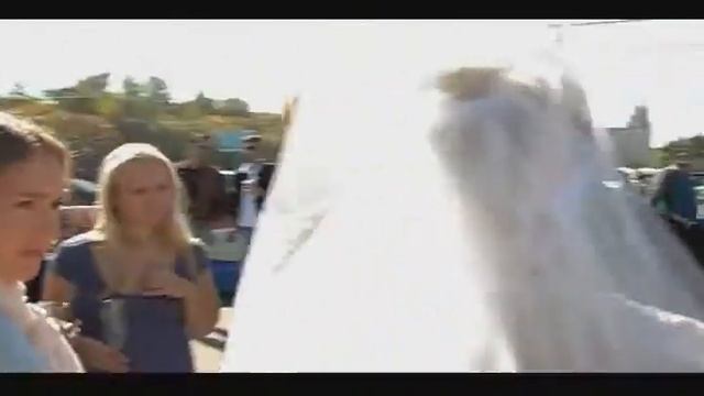 Зоо-шоу с лесами