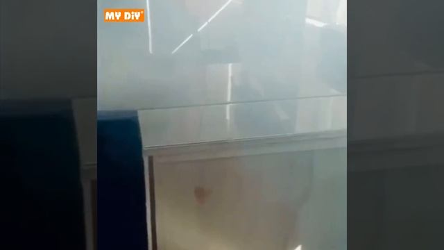 MY DIY- Fatmanz Disinfection Fogging Machine 1000W Sterilizer Disinfectant Deodorizing Antibacteria смотреть онлайн