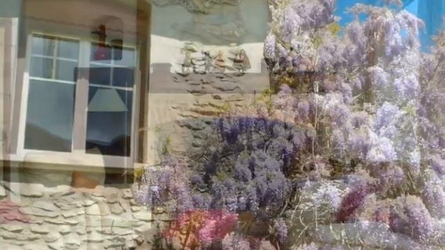 vidéo gîte 202 смотреть онлайн