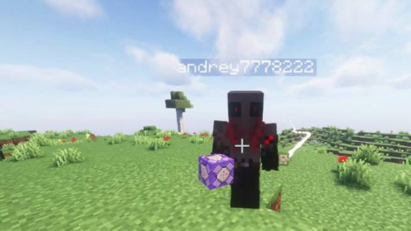 Minecraft с mr gamer Randomizer mod