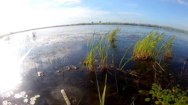 Проверка мардуши смотреть онлайн