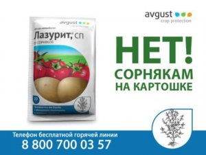 Лазурит! Нет сорнякам на картошке!