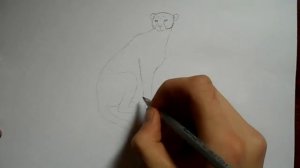 Видео: как нарисовать леопарда?