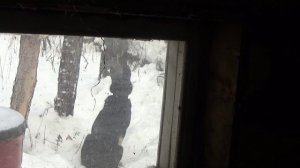 Якутия. Охота на соболя. Рыбалка.