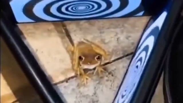 hunter will not be trifled with смотреть онлайн