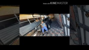 MORGENSTERN - Новый Мерин