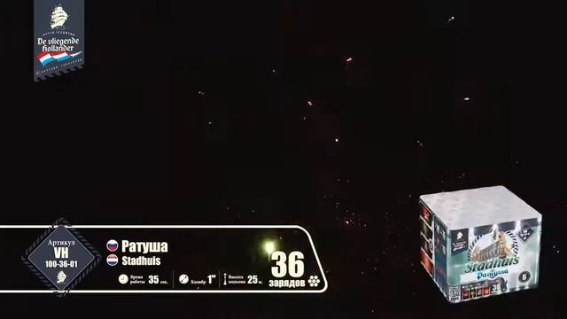 VH100-36-01, De Vlegende Hollander, РАТУША смотреть онлайн