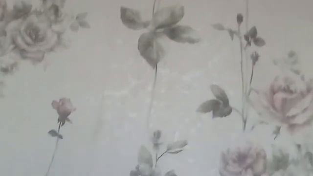 новоя песня котик блокнотик смотреть онлайн