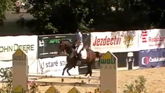 286 Li 1, 2005 stalion, Cosimo Lord, 运动马匹出售 Лошади на продажу смотреть онлайн