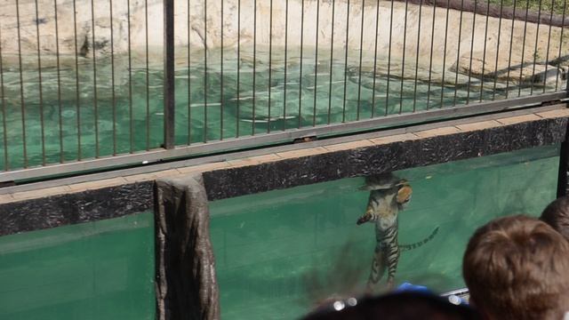 DSC_5985 смотреть онлайн