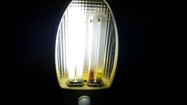 EOL CFL Camelion 9W G23 6500K #1 смотреть онлайн