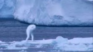 МЕМ ИЗ 2031(вы пока не поймёте)