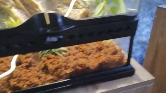 Террариум экскурсия смотреть онлайн