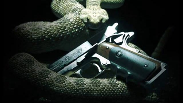 HITMAN 5 ABSOLUTION OFFICIAL TEASER RELEASED!