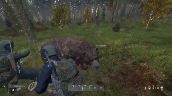 на медведя с ножом