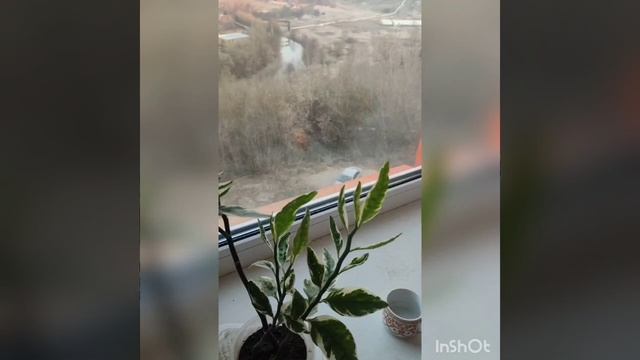 Чудо в правильном понимании ЗАПОВЕДЕЙ, оно в нас!