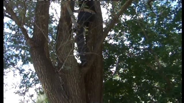 Кыстыбый шоу смотреть онлайн