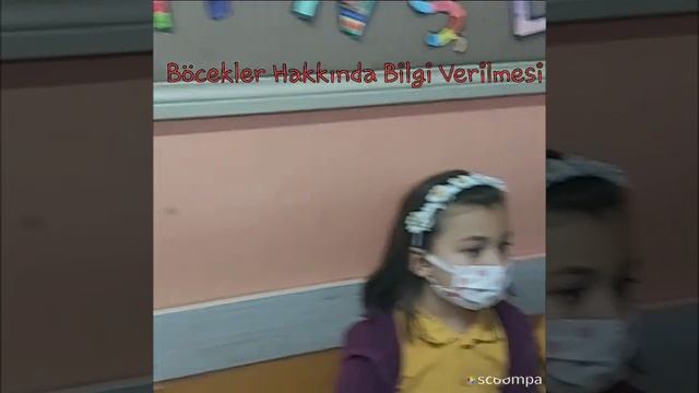 Böcekler Hakkında Bilgi смотреть онлайн