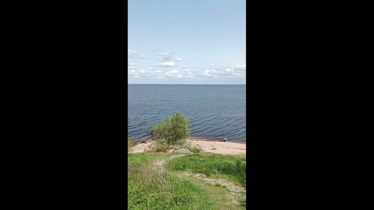 Шмель нектар собирает смотреть онлайн