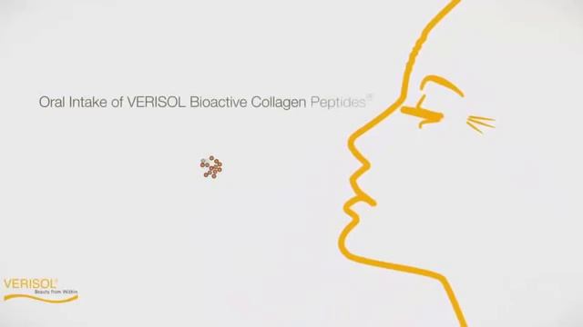 Daily Delicious протеиновые коктейли с коллагеном смотреть онлайн