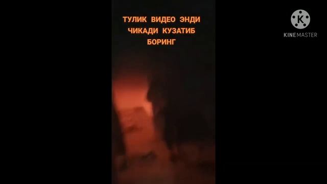 Zapal Sharmanda Ushlab Oldi