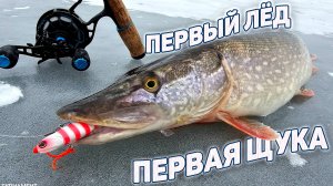 Щука на Обве