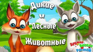 Дикие Животные и их Детёныши +Карточки Домана +Обучающие Познавательные Видео про Животных для Детей