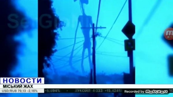 5 сереноголовый снятых на камеру