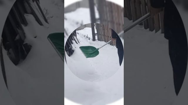 Говорила мама